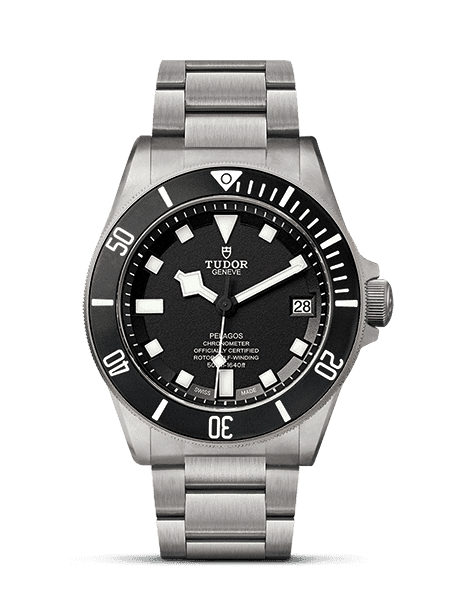 Tudor Pelagos - photo 1
