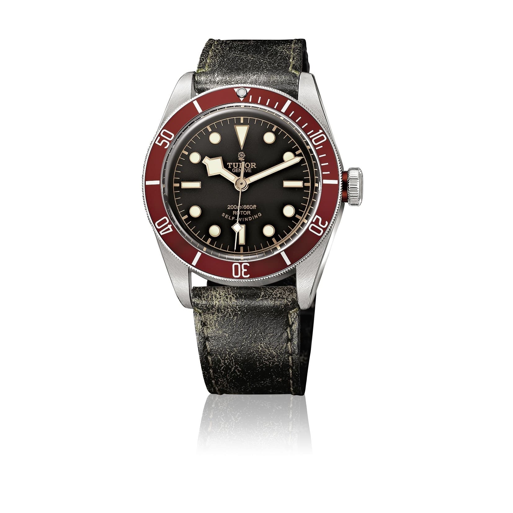 Tudor Black Bay - photo 1