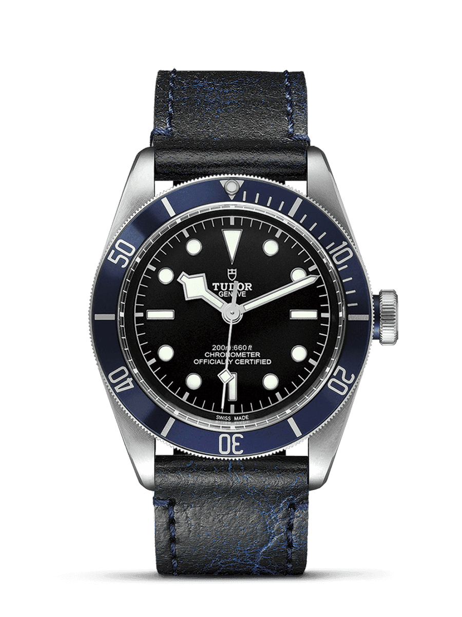 Tudor Black Bay - photo 1