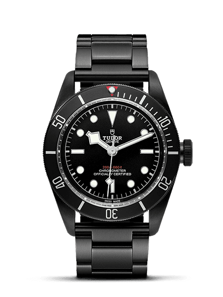 Tudor Black Bay - photo 1