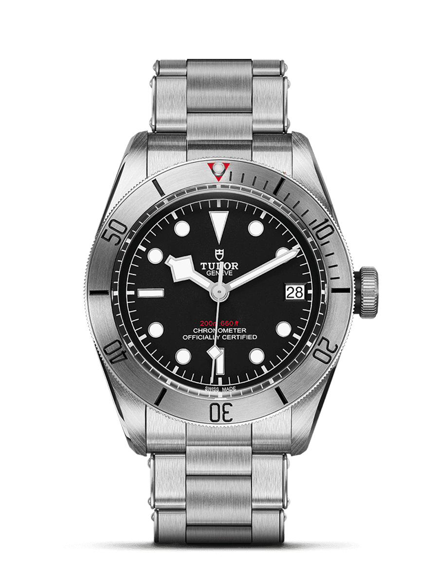 Tudor Black Bay - photo 1