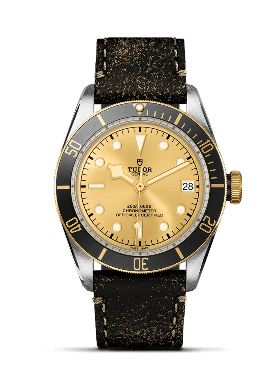 Tudor Black Bay S&G - photo 1