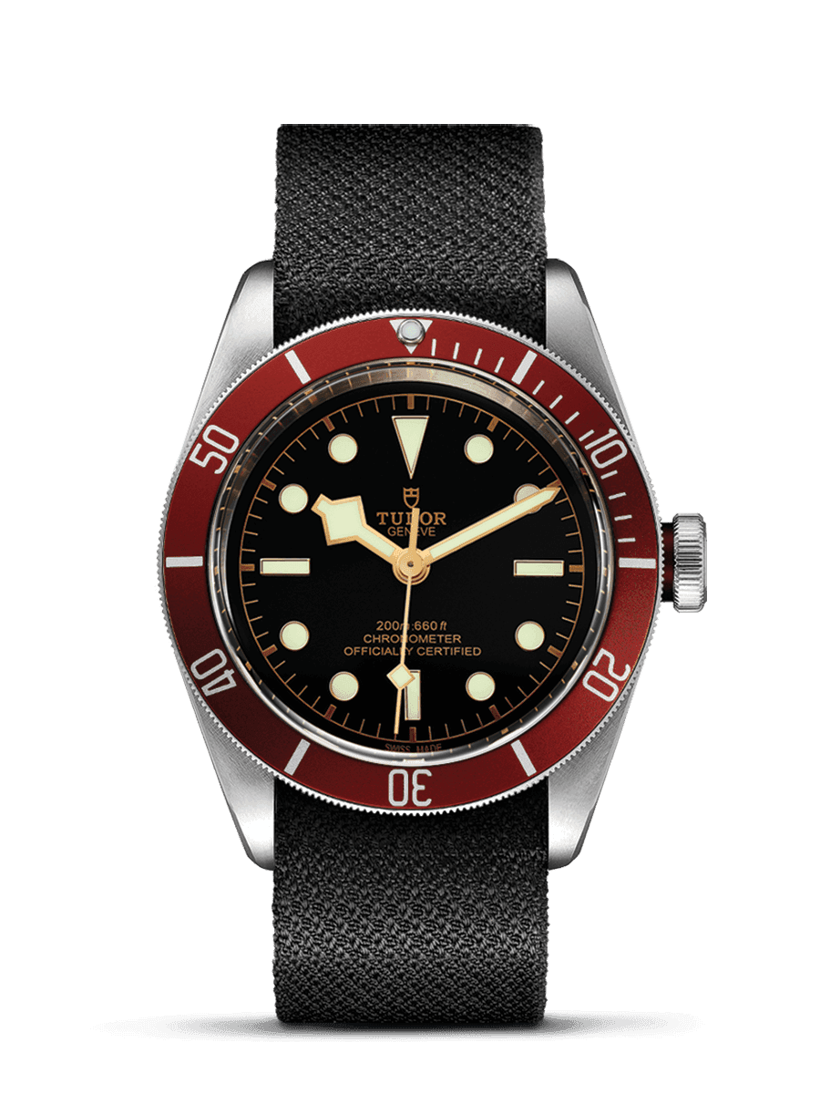 Tudor Black Bay - photo 1